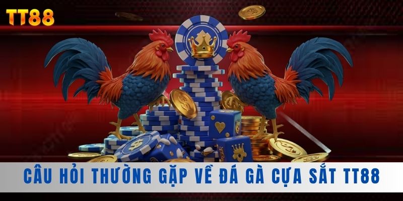 Câu hỏi thường gặp về đá gà cựa sắt TT88