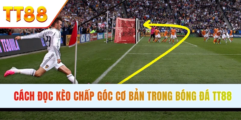 đọc kèo phạt góc đơn giản trong bóng đá